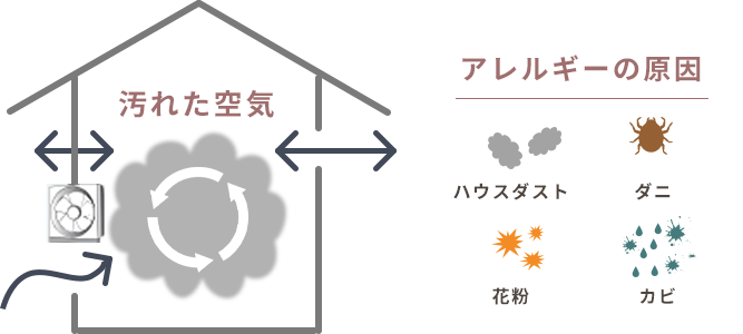 アレルギーの原因 ハウスダスト ダニ 花粉 カビ