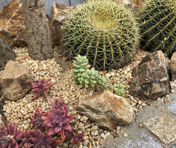 植栽をたのしむ