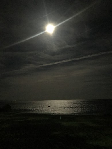 流れ星かと思ったら