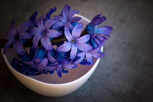暮らしに花を